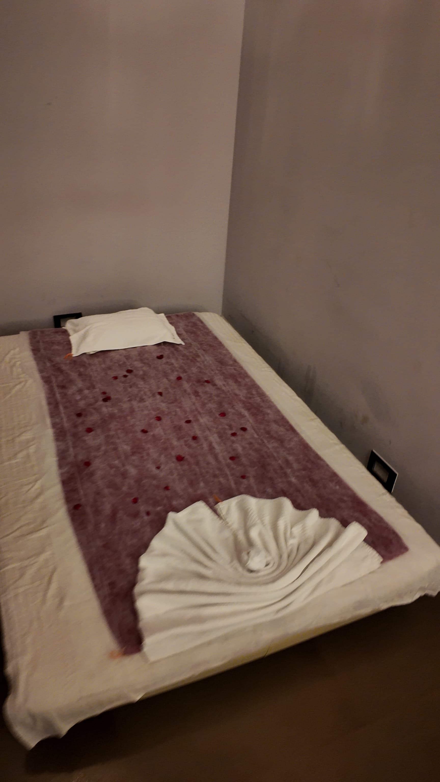 Relaxing body massage environment at Spa Palm Amore Bandra